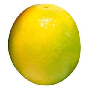 Laranja-Pera-Unidade-–-Hortifruti-do-Rei-2-1.jpeg